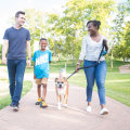 The Power of Parental Involvement in Child Advocacy Groups in Central Virginia