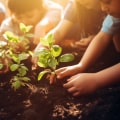 The Impact of Child Advocacy Groups on Diversity and Inclusion in Central Virginia