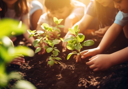 The Impact of Child Advocacy Groups on Diversity and Inclusion in Central Virginia